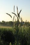 Meine Fotos